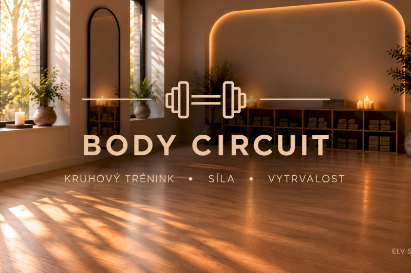 BODY CIRCUIT
